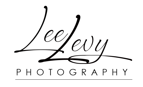 Lee levy photohgraphy black logo