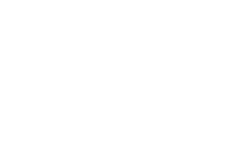 Lee Levy Photohgraphy footer logo