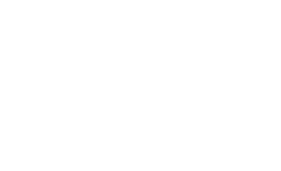 Lee Levy Photohgraphy White copy